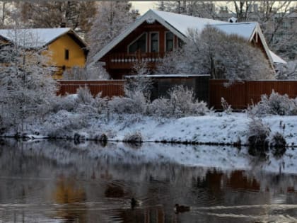 Облачно и морозно: какой будет погода в Ленобласти в пятницу