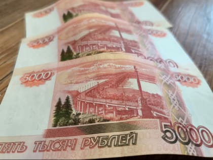 50 миллионов наличными изъято на обысках у представителей власти Вологодской области