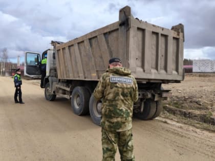 В Ломоносовском районе провели экорейд