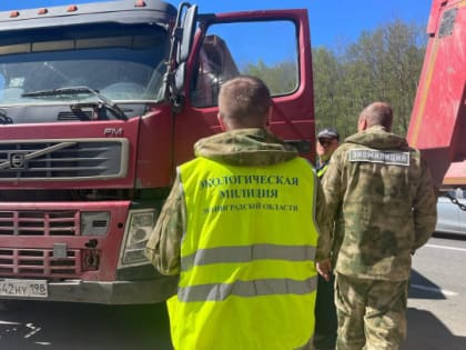 Госэконадзор заглянул в кузовы 30 самосвалов во Всеволожске и нашел запрещенное