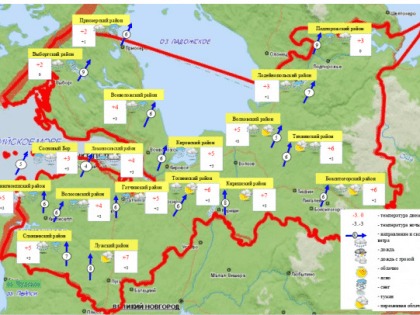 Какая погода придет в Ленобласть в четверг