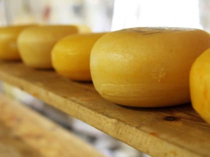 На Торжковском рынке в Петербурге нашли молочную и мясную «санкционку»