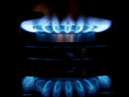 Глава австрийской OMV Штерн: компания намерена соблюдать контракт с «Газпромом»