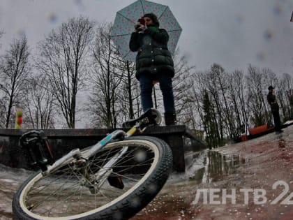 Слабый мокрый снег и дождь ожидаются в Ленобласти 29 января