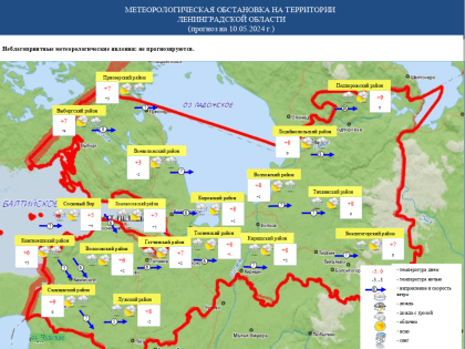 Потепление до +10 и дождь придут в Ленобласть 10 мая