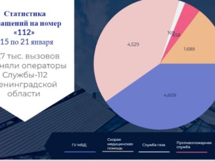 Специалисты представили статистику обращений от жителей Ленобласти на номер 112