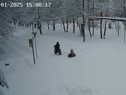 Полиция нашла в Назии героев видео катания на «ватрушке», привязанной к мопеду