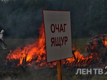 Учения по борьбе с болезнями животных прошли под Тихвином