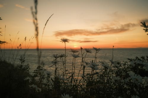 Olympic National Park