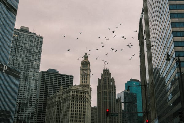 Chicago — 47