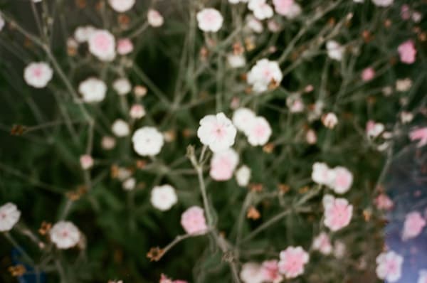 Film — Washington 10