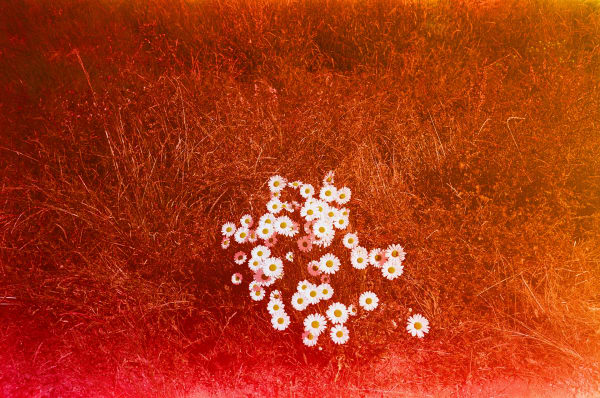 Film — Washington 15