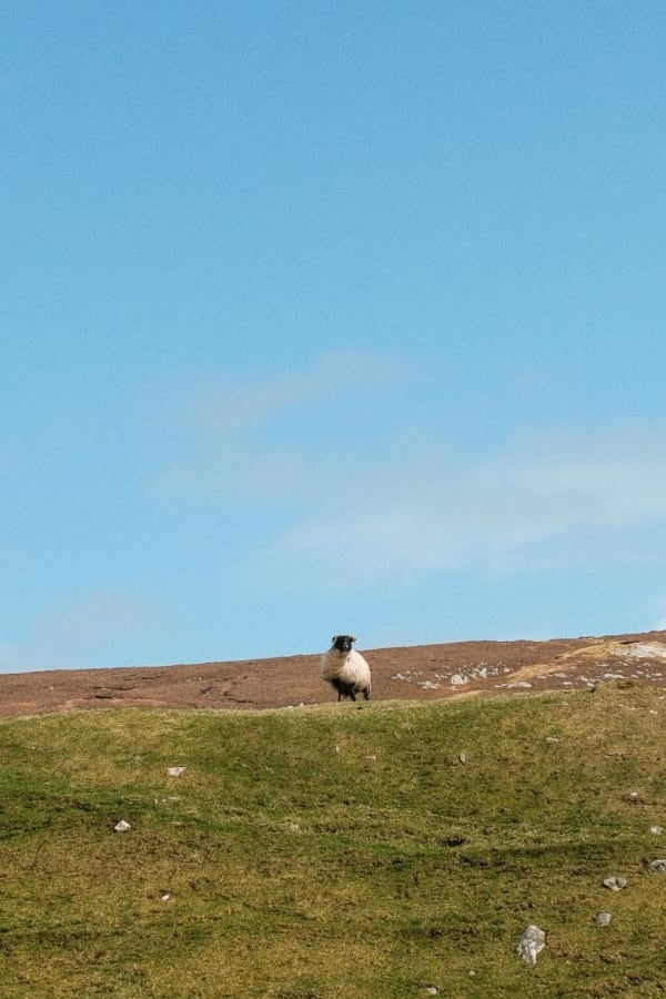 London & Ireland — 100