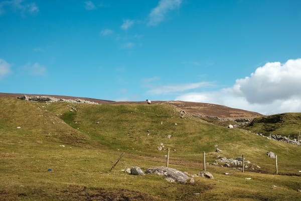 London & Ireland — 15