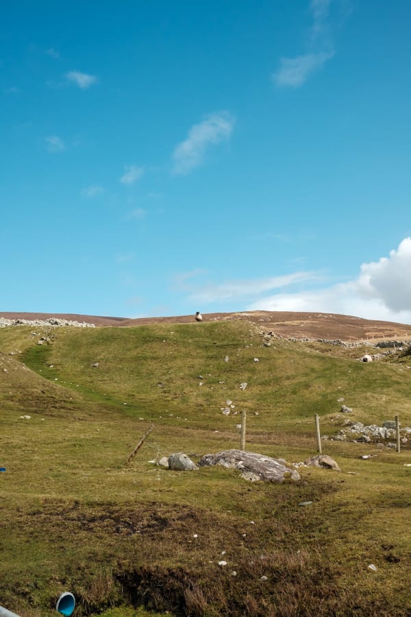 London & Ireland — 16