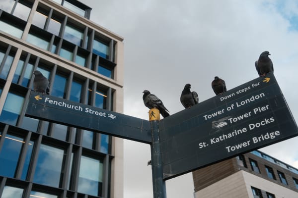 London & Ireland — 62