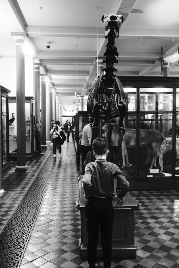 London & Ireland — 73