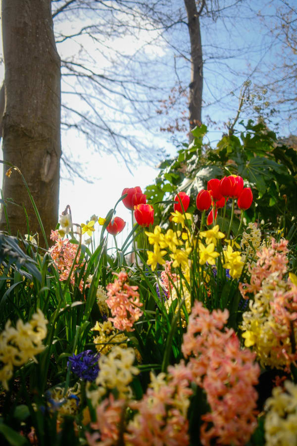 London & Ireland — 74