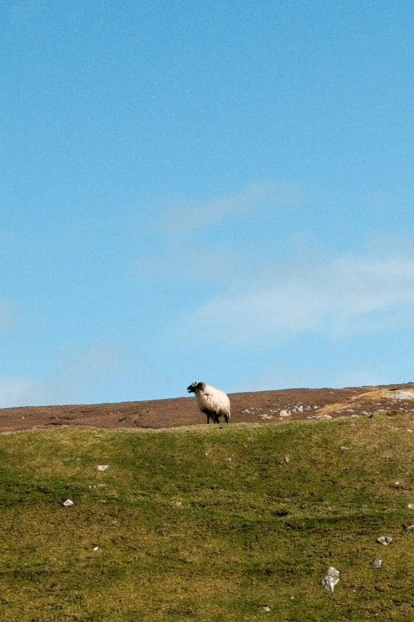 London & Ireland — 85