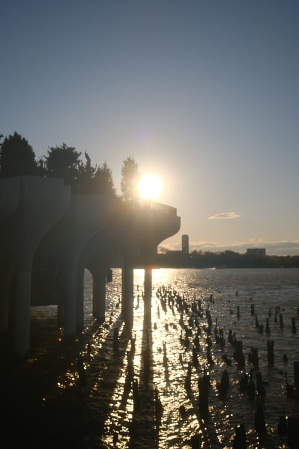 NYC (Original) — 48