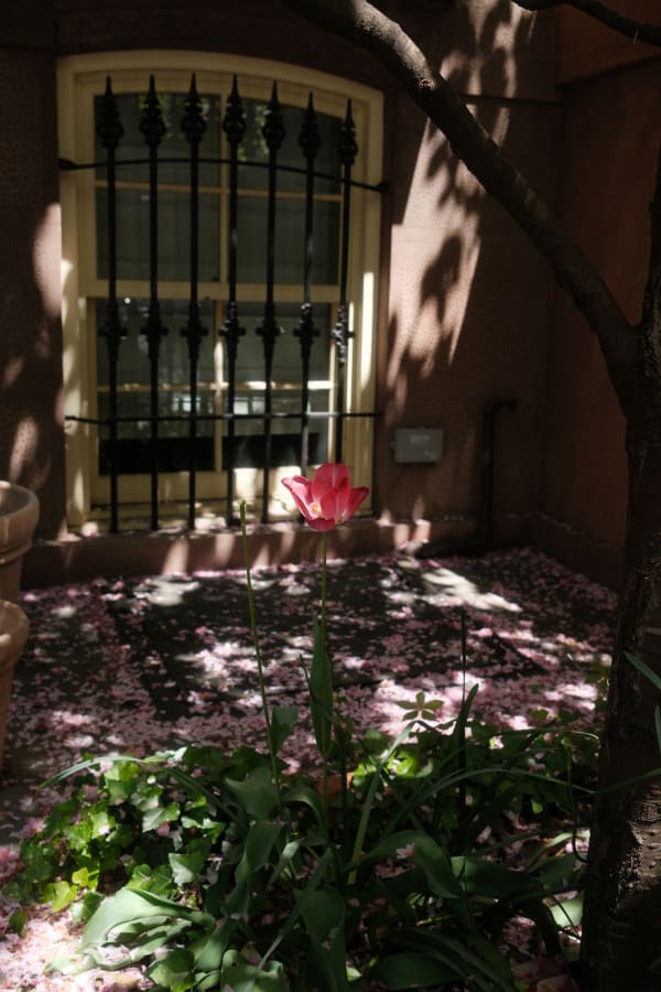 NYC (Original) — 52