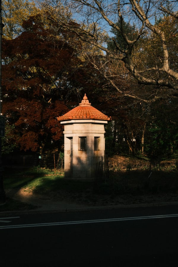 NYC (Original) — 60