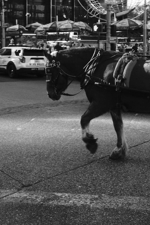 NYC (Original) — 70