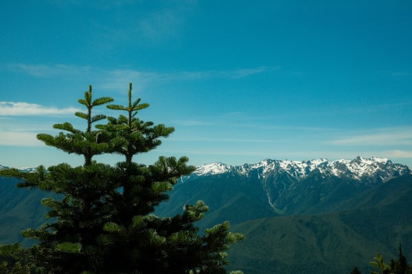 Olympic National Park