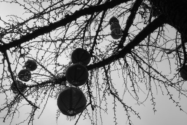 Vancouver — Chinatown New Year Parade 17