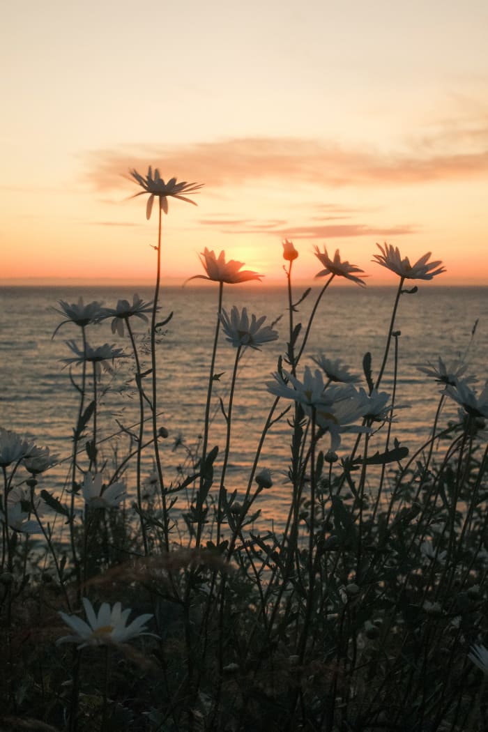 Olympic National Park