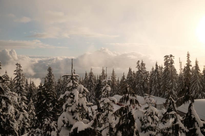 Grouse Mountain