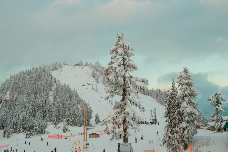 Grouse Mountain