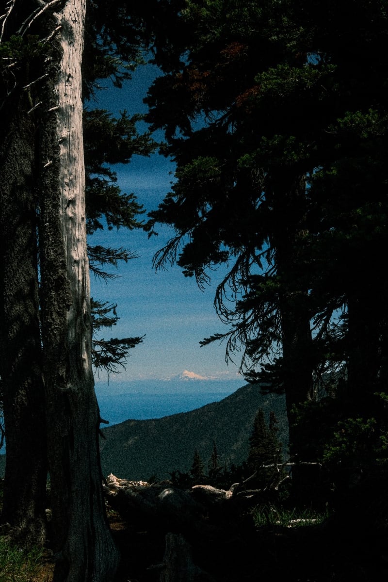 Olympic National Park