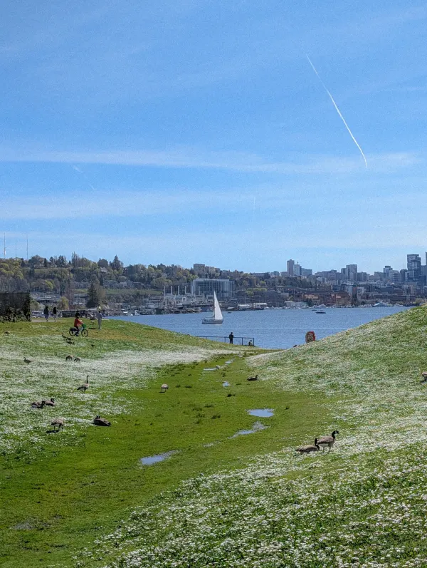Seattle doing its best Ghibli impression today. Oh man did the sun on your face feel so good today.