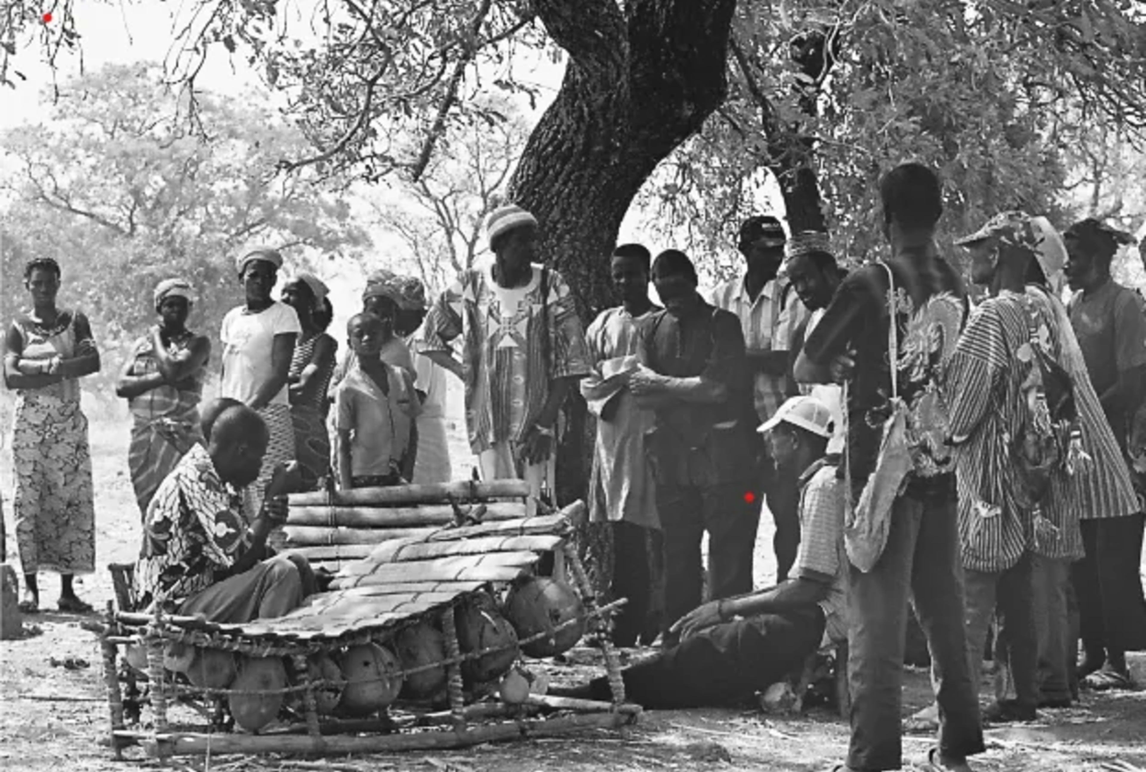 Les Dagara (Dagaaba)