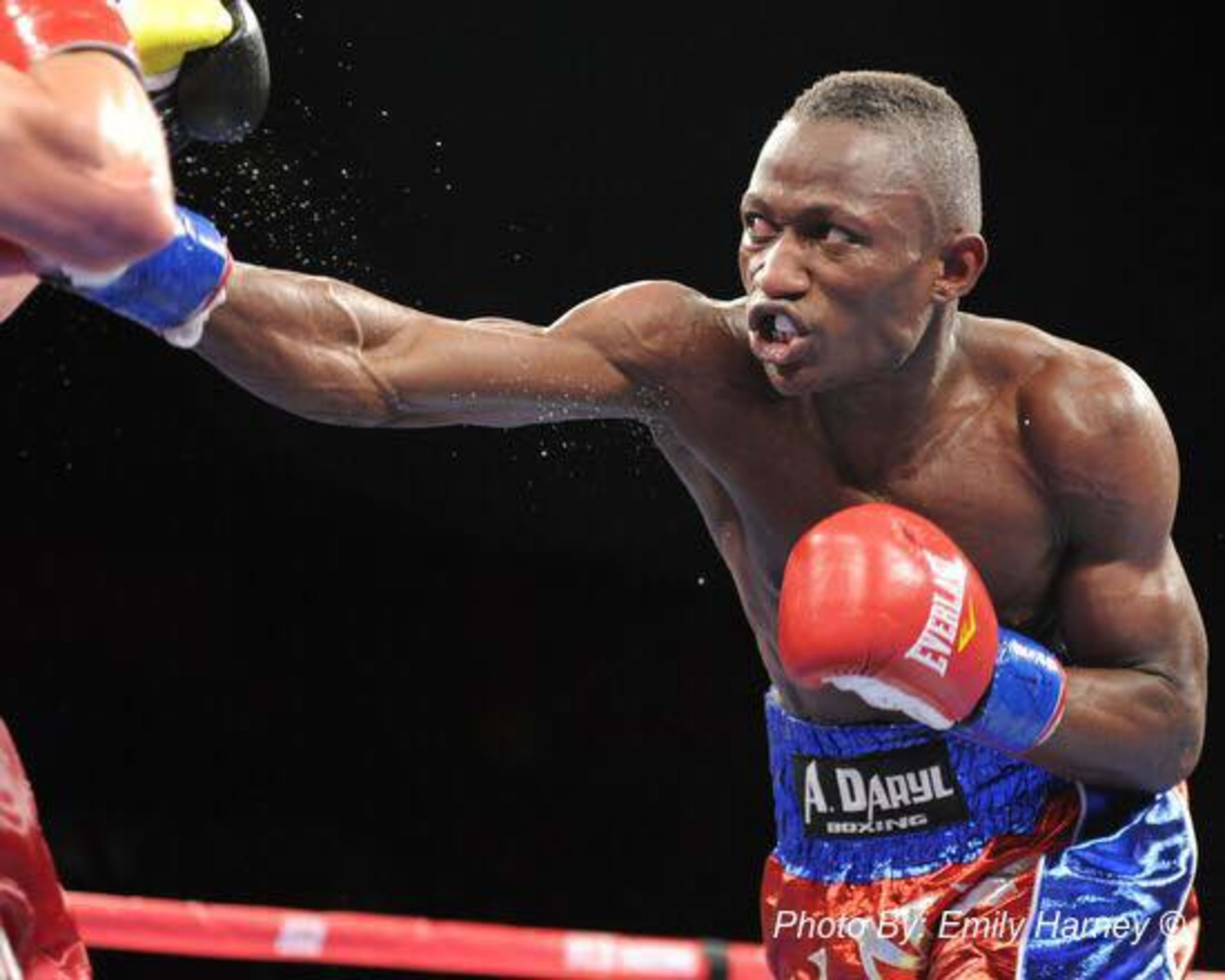 Boxe Anglaise
