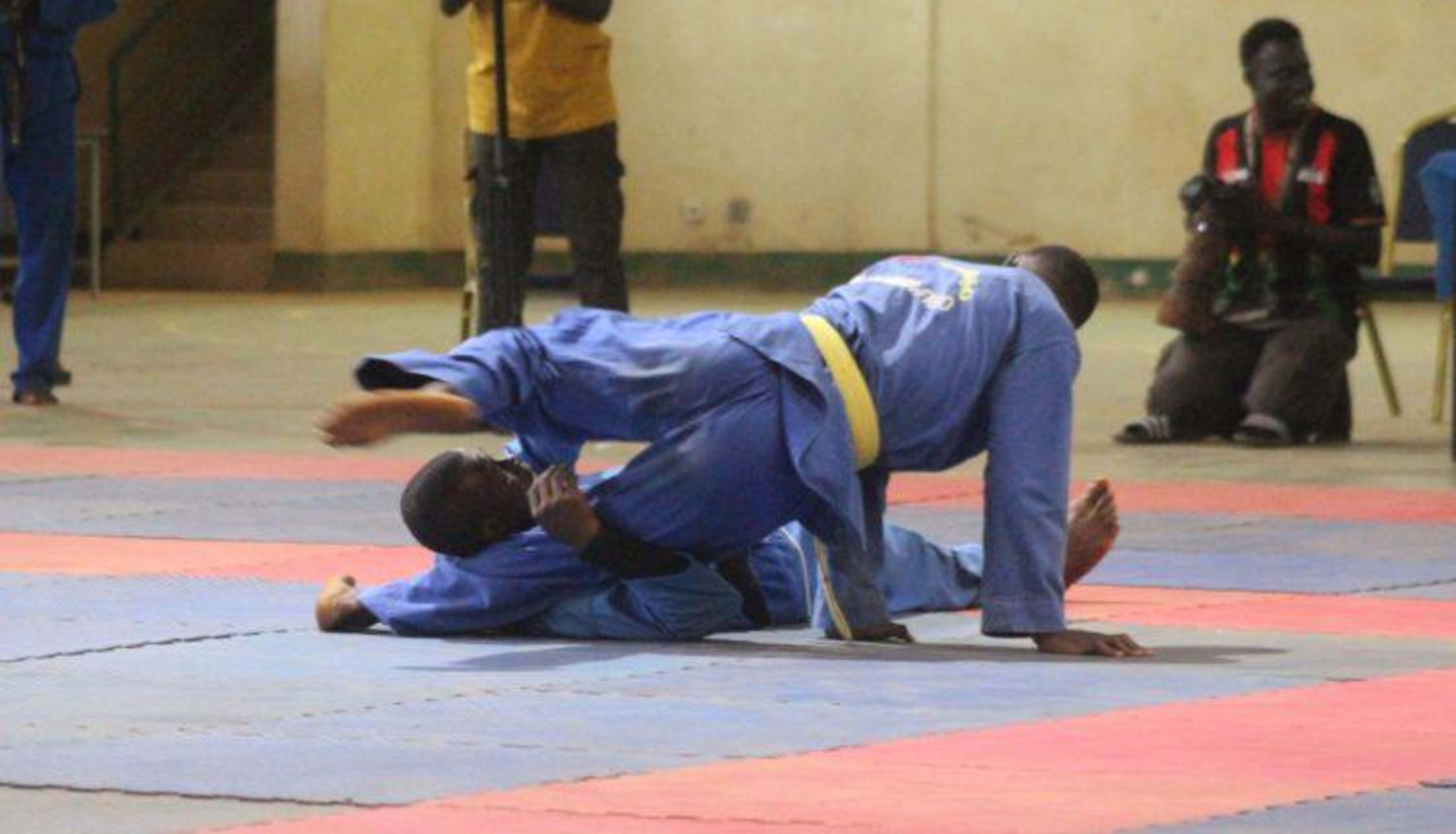 Vovinam Viet Vo Dao
