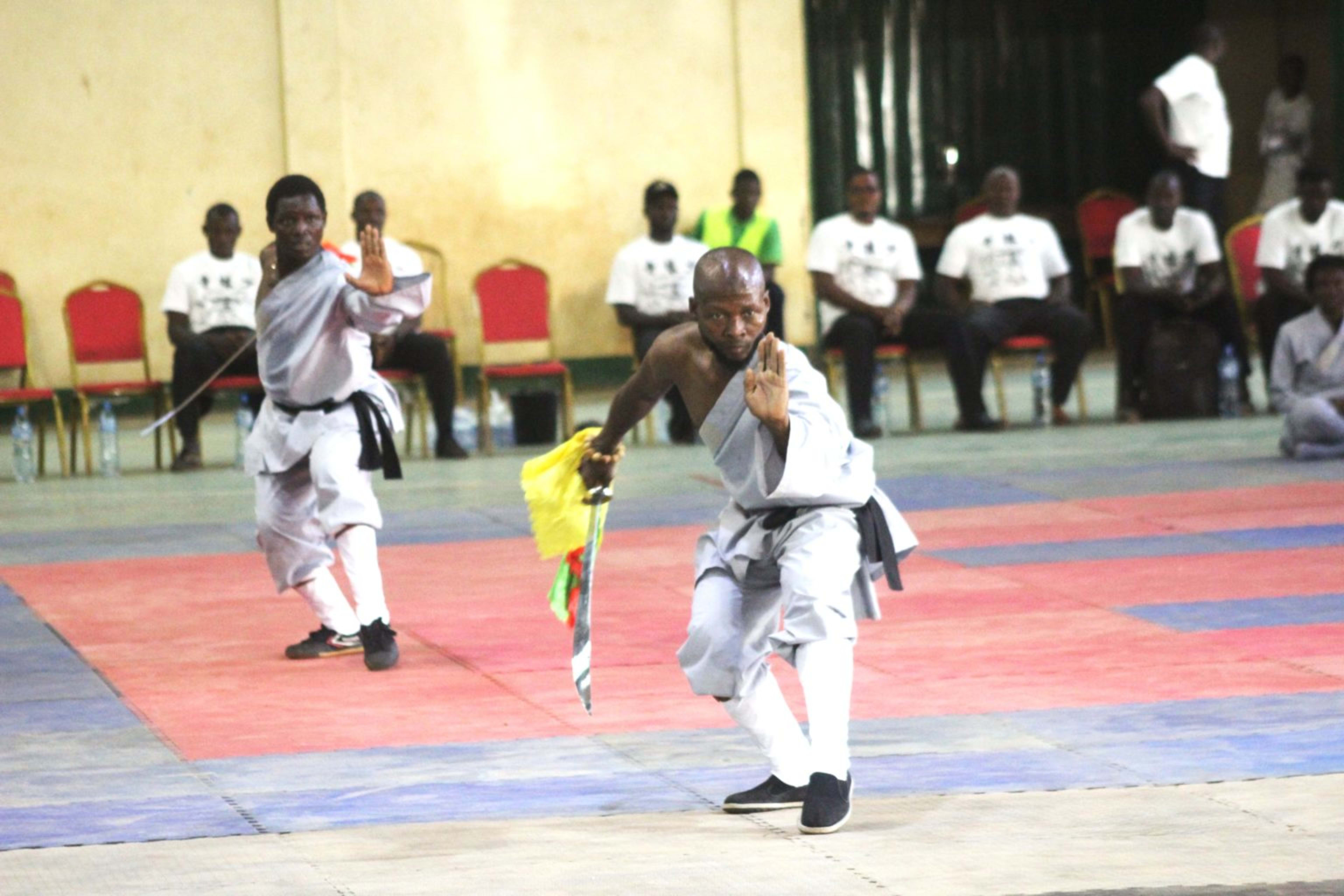 Kung-Fu Wushu