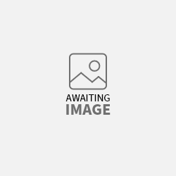 Awaiting Image