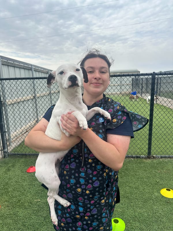 Fetch team member with dog