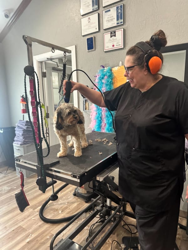Fetch team member with dog