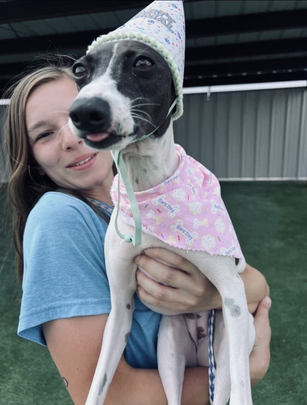 Fetch team member with dog