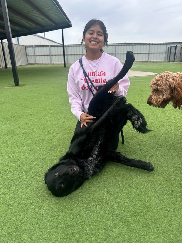 Fetch team member with dog