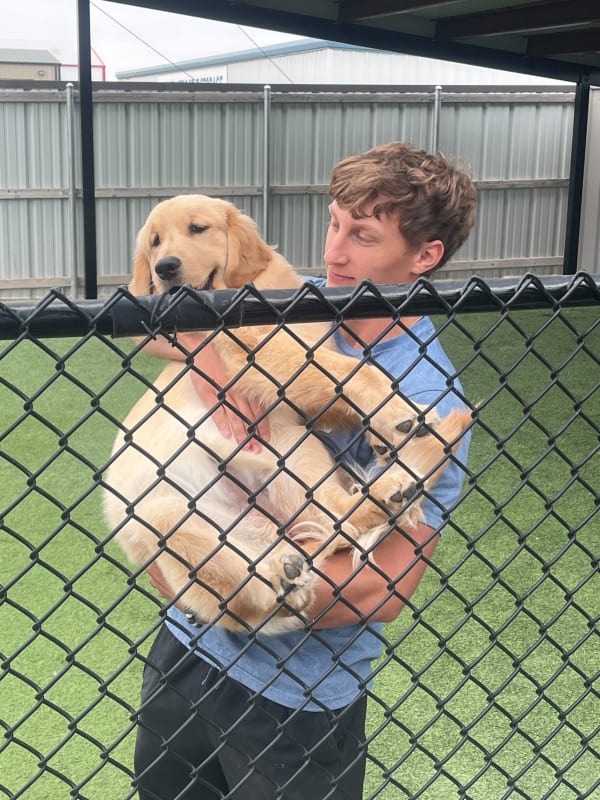 Fetch team member with dog