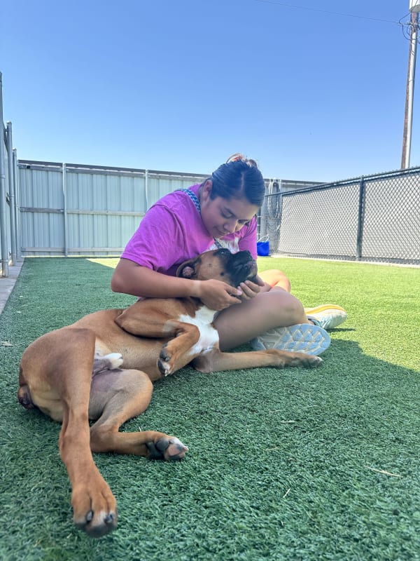 Fetch team member with dog
