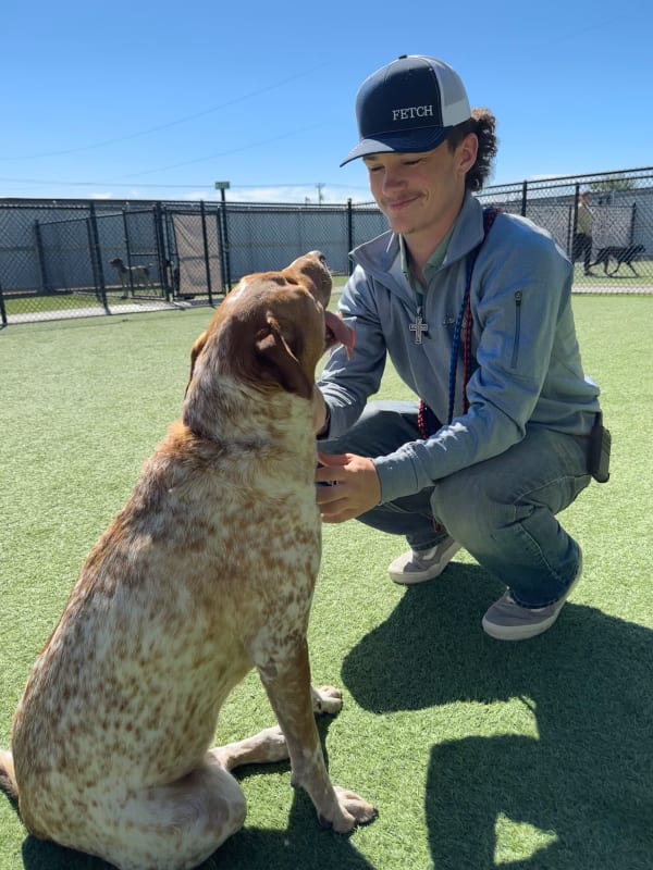 Fetch team member with dog