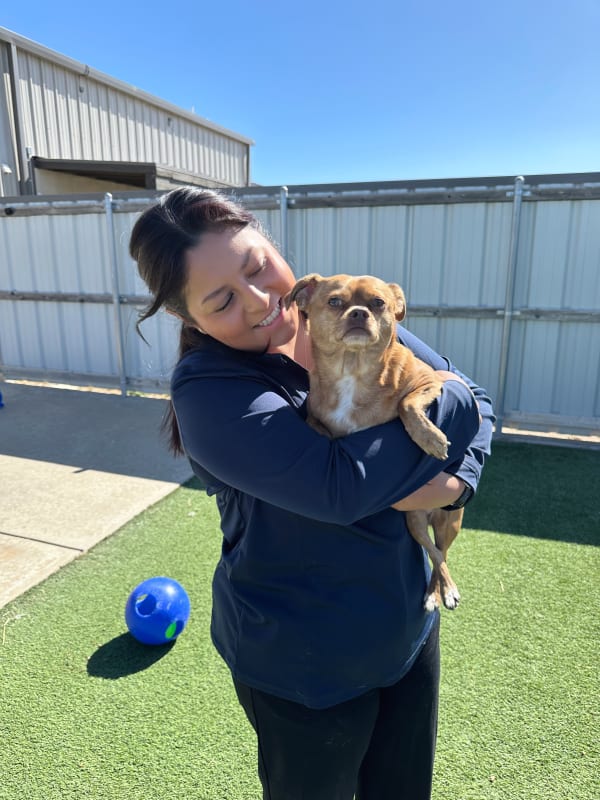 Fetch team member with dog