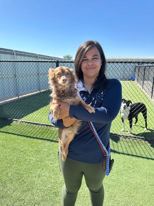 Fetch team member with dog