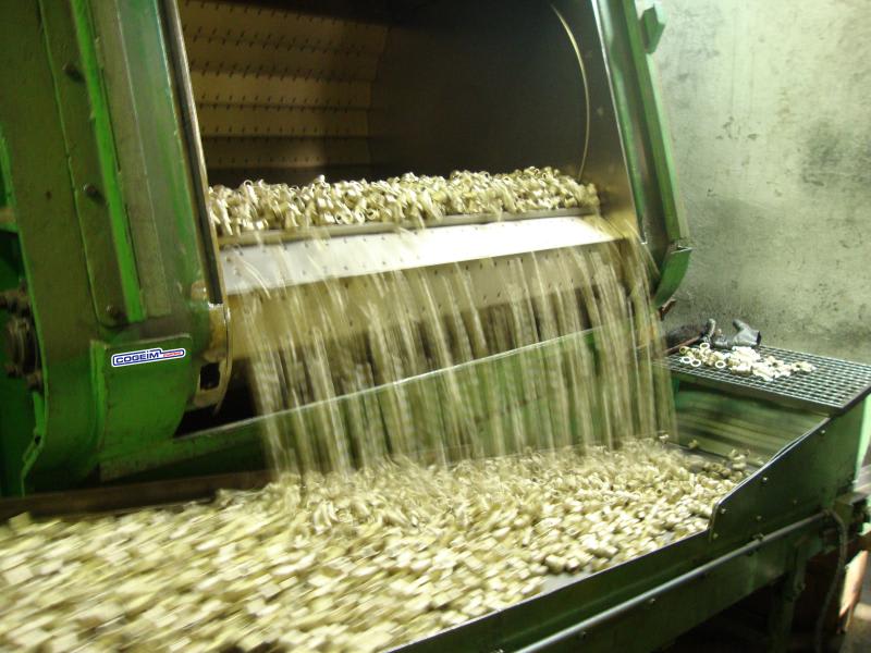 Cogeim TA Series - Shotblasting Machines - 3