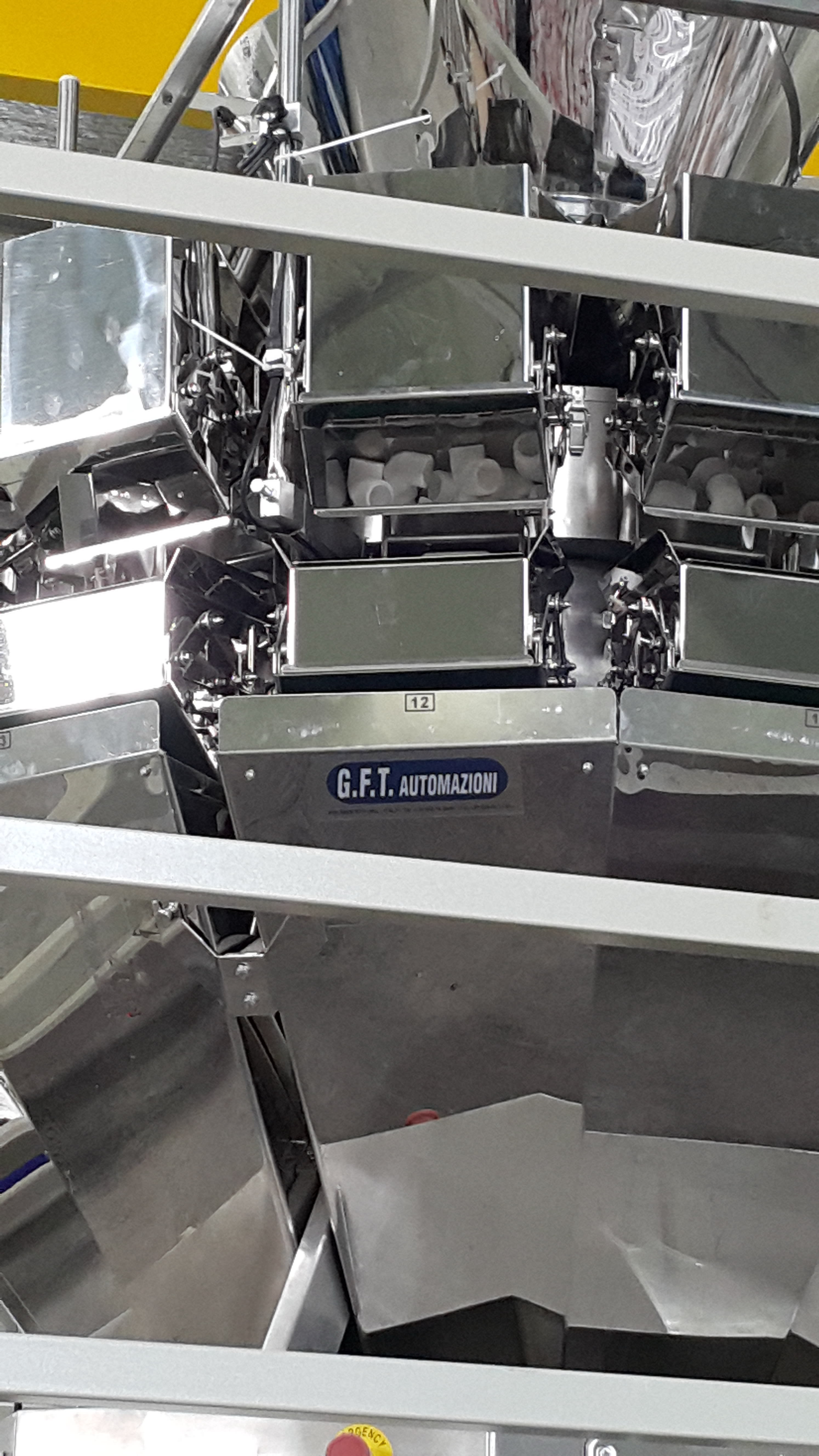 GFT Automazioni Weighing, Packaging and Boxing Line - Packaging Machines - 9